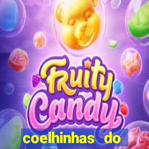 coelhinhas do brasil acompanhantes